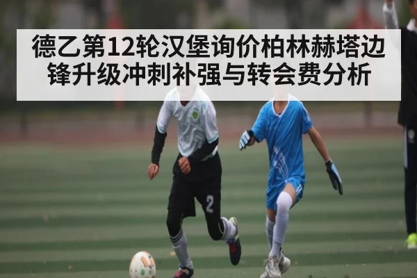 德乙第12轮汉堡询价柏林赫塔边锋升级冲刺补强与转会费分析 - WSOP